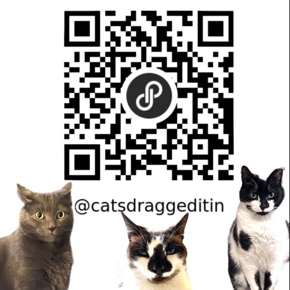 Generra Dark Academia Lined “Pewter” Wool Dress Size 6 - Picture 15 of 15